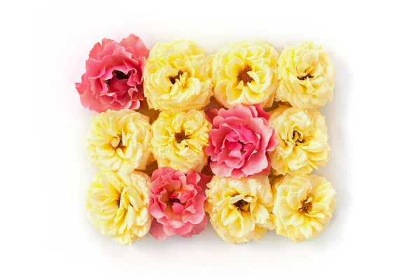 Pink and yellow rose buds bouquet in square shape. — Stock Photo, Image