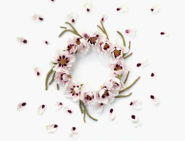 Beleza armação floral redonda feita de peônias brancas — Fotografia de Stock