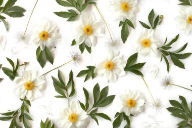 Çiçek desenli beyaz Şakayık yapılmış yaratıcı düzenleme düz yatıyordu