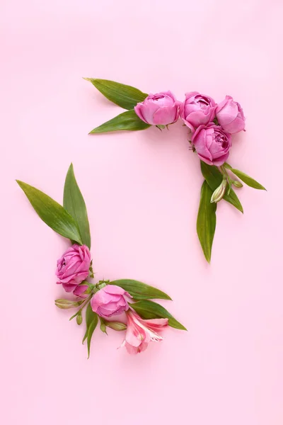 Χρώμα παστέλ μπουμπούκια τριαντάφυλλο και πράσινα φύλλα σε ροζ φόντο. — Φωτογραφία Αρχείου