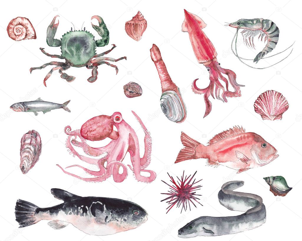 Set of seafood