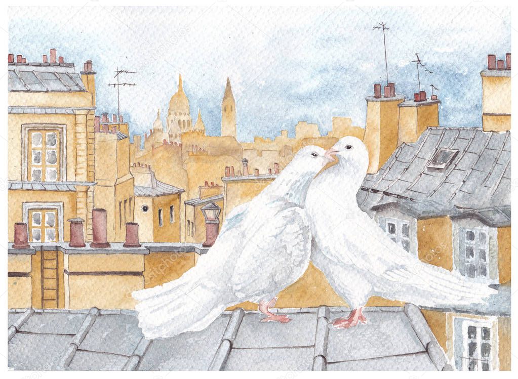 A pair of pigeons on the roof in Paris. Watercolor.