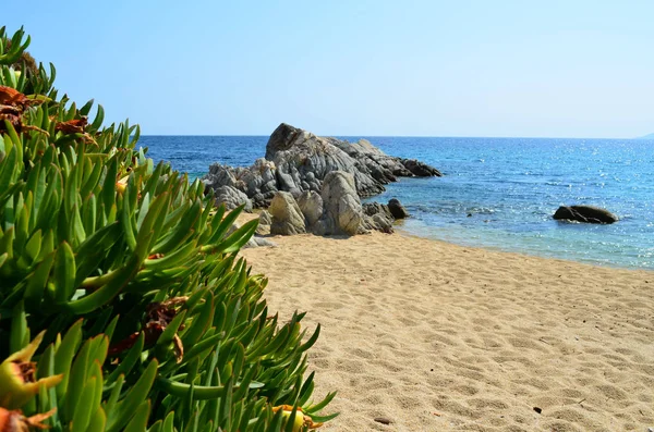 Greek sandy beach — Stock Photo, Image