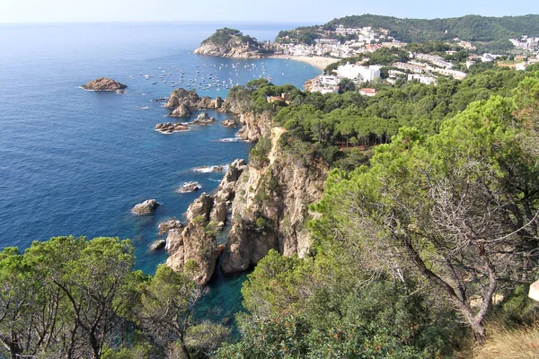 kayalık sahil ve deniz