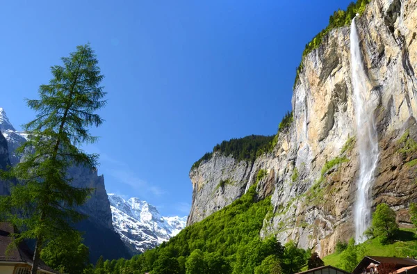 Alp Vadisi'nde şelale