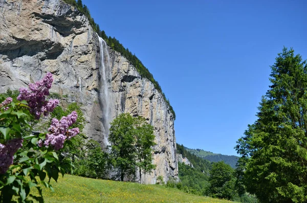Bir şelale ile dağ Vadisi