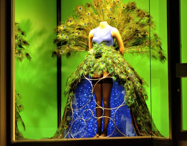 Bir dükkan pencerede elbise