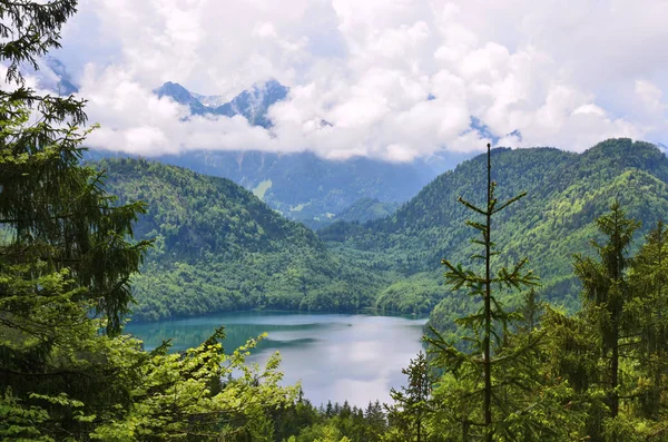 Ormandaki dağ gölü