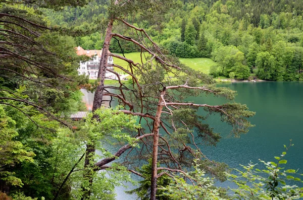 Ormandaki dağ gölü