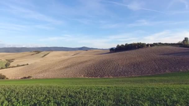 Aerial shot, gorgeous tucany hills landscape with sun flare, flying above the fields, tuscany flyover — Stock video