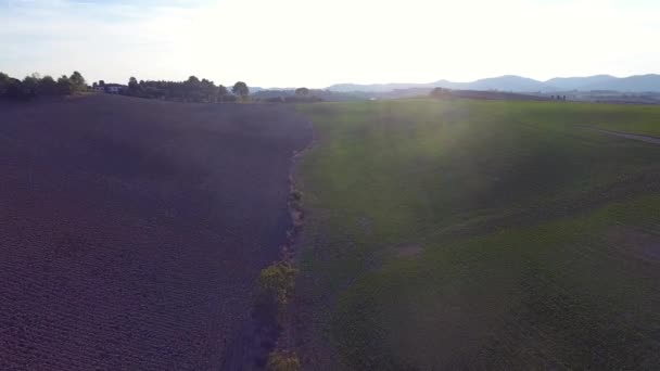 Aerial shot, gorgeous tucany hills landscape with sun flare, flying above the fields, tuscany flyover — Αρχείο Βίντεο