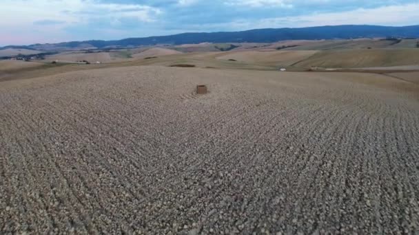 Tiro aéreo, uma barraca solitária no meio de campos de arados agradáveis em algum lugar na Europa, viaduto — Vídeo de Stock