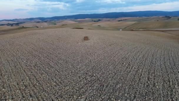 Tiro aéreo, una choza solitaria en medio de bonitos campos de arados en algún lugar de Europa, sobrevuelo — Vídeo de stock