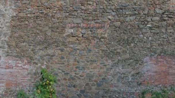 Pared medieval disparo subiendo y revelando el impresionante paisaje detrás de él — Vídeos de Stock