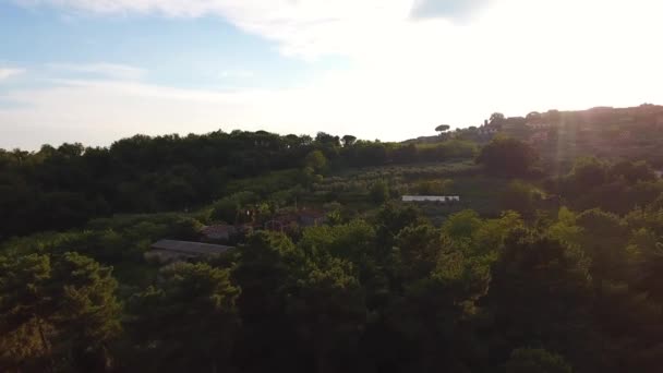 Aerial shot, magnífico sobrevuelo sobre olivos con suave luz nocturna y destello de sol — Vídeos de Stock