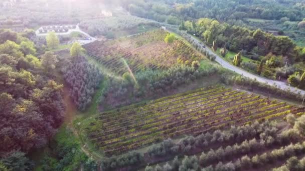 Luftaufnahme, traumhafte Landschaft beim Sonnenuntergang, Rauch in der Mitte, mitten in der Ebene, mit Drohne gemacht — Stockvideo