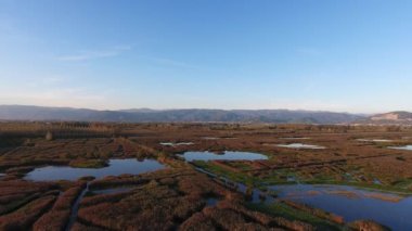 Hava atış, Avrupa'nın sonbahar renkleri ile bataklık manzara üzerinde sinek