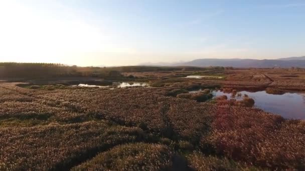 Повітряний постріл, політ над болотистим пейзажем з осінніми кольорами в Європі — стокове відео