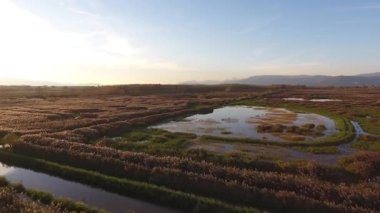 Hava atış, Avrupa'nın sonbahar renkleri ile bataklık manzara üzerinde sinek
