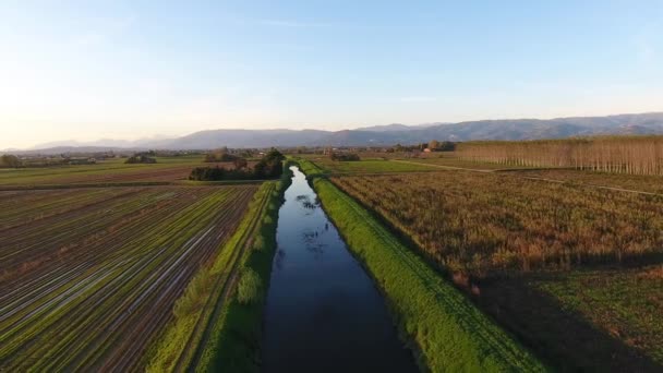 Luftaufnahme, Flug über sumpfige Landschaft mit Herbstfarben in Europa — Stockvideo