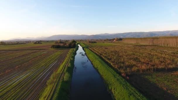 Tiro aéreo, voar sobre paisagem pantanosa com cores de outono na Europa — Vídeo de Stock