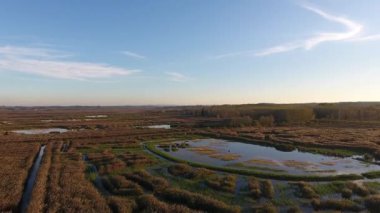 Hava atış, Avrupa'da, sonbahar renkleri, bataklık yatay üzerinde sinek drone ile yapılan