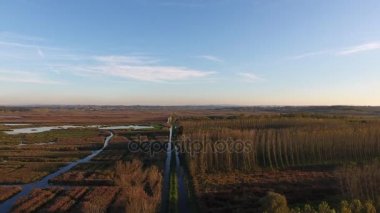 Hava atış, Avrupa'nın sonbahar renkleri ile bataklık manzara üzerinde sinek