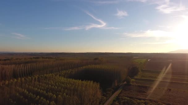 Antenn skott, flyga över sumpiga landskap med höstfärger i Europa — Stockvideo