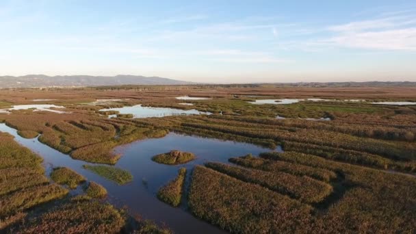 Luftaufnahme, Flug über sumpfige Landschaft mit Herbstfarben in Europa — Stockvideo