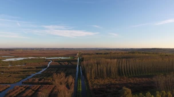 Vue aérienne, survoler un paysage marécageux aux couleurs automnales en Europe 