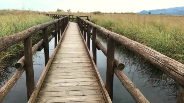 Une belle passerelle en bois au milieu du lac avec beaucoup d'herbe haute se déplaçant en raison du vent fort — Video