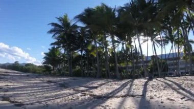 Oceanside görünümü, palmiye ağaçları arasında güneş saklanma queensland içinde çekildi.
