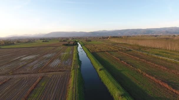 Tiro aéreo, voar sobre paisagem pantanosa com cores de outono na Europa — Vídeo de Stock