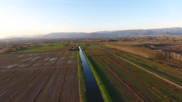 Luftaufnahme, Flug über sumpfige Landschaft mit Herbstfarben in Europa — Stockvideo