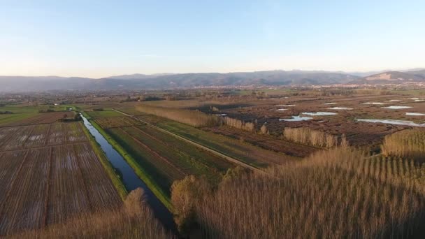 Plano aéreo, volar sobre el paisaje pantanoso con colores de otoño en Europa — Vídeos de Stock