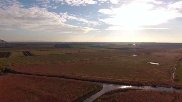 空中拍摄秋天风景，字段和一个巨大的湖上空飞行 — 图库视频影像