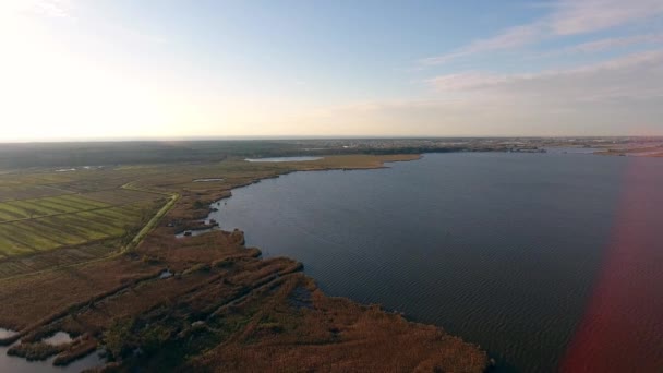 空中ショットは、秋の風景、フィールドと巨大な湖の上を飛んで — ストック動画