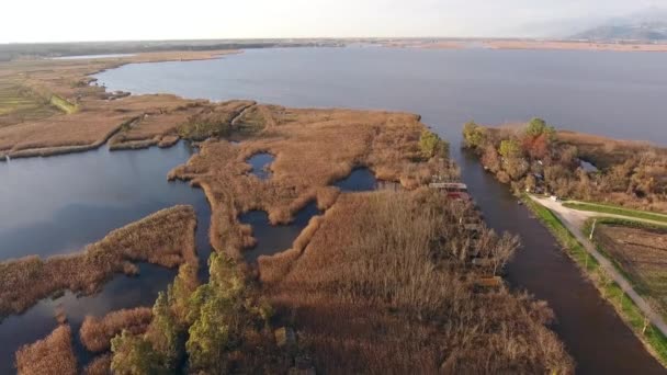 Antenn skott, falla landskap, flyger över fält och en enorm sjö — Stockvideo