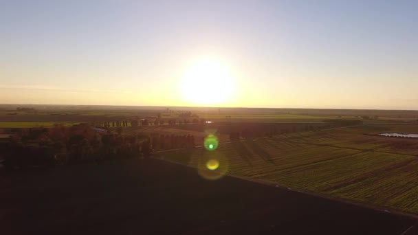Letecký snímek spadá krajina, létající nad pole a říčka — Stock video
