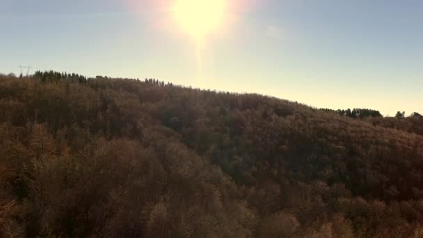 Tiro aéreo, madera de otoño en las montañas con hojas anaranjadas secas, sol alto en el cielo — Vídeo de stock