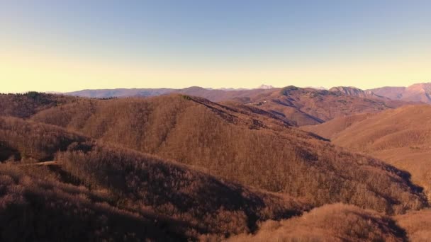 Κεραία βολή, φθινόπωρο ξύλο στα βουνά με πορτοκαλί ξηρά φύλλα, ήλιο ψηλά στον ουρανό — Αρχείο Βίντεο