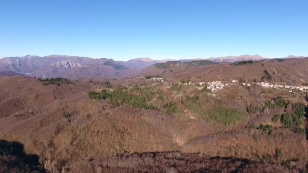 Tiro aéreo, madeira de outono nas montanhas com folhas secas alaranjadas, sol alto no céu — Vídeo de Stock