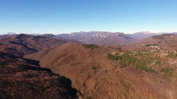 Tiro aéreo, madeira de outono nas montanhas com folhas secas alaranjadas, sol alto no céu — Vídeo de Stock