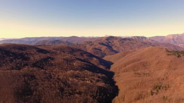 Tiro aéreo, madera de otoño en las montañas con hojas anaranjadas secas, sol alto en el cielo — Vídeo de stock