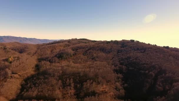 Tiro aéreo, madera de otoño en las montañas con hojas anaranjadas secas, sol alto en el cielo — Vídeos de Stock