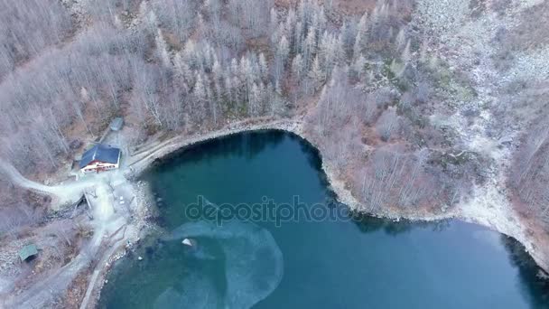 Воздушный кадр, красивое замерзшее озеро глубокого синего цвета, окруженное морозными деревьями, расположенное посреди гор — стоковое видео