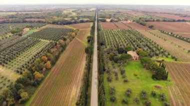 Hava atış, Toskana, ekili alanlar ortasında iki selvi raws arasında bir yol İtalya