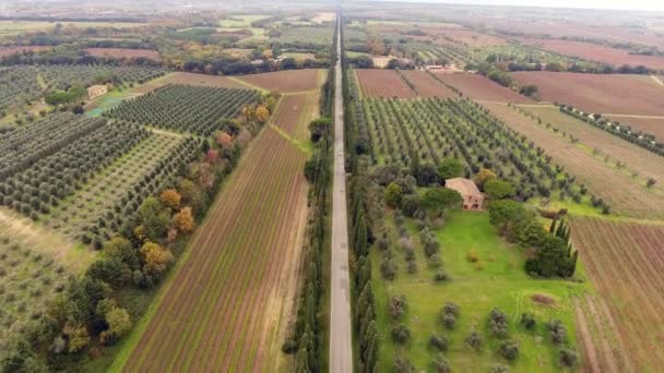 Κεραία βολή, έναν δρόμο μεταξύ δύο κυπαρίσσια raws, στη μέση του καλλιεργημένα χωράφια σε Τοσκάνη, Ιταλία — Αρχείο Βίντεο