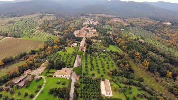 空中拍摄，小小的古城，位于农村景观与耕地和大量的在意大利的托斯卡纳，橄榄树 — 图库视频影像