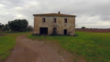 Toskana, İtalya, üzüm Hasattan sonraki sonbahar renkleri ile hava atış, büyük üzüm bağları drone ile vurdu
